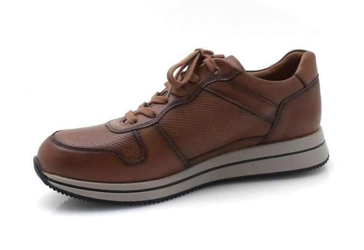 Mephisto Gerome (260609) - Reynders - Daenen