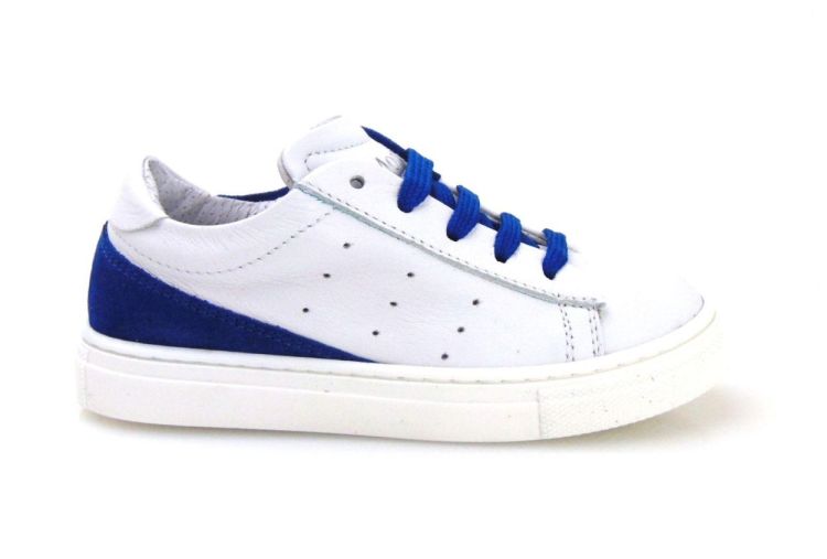 Morelli 481  (8002) - Reynders - Daenen