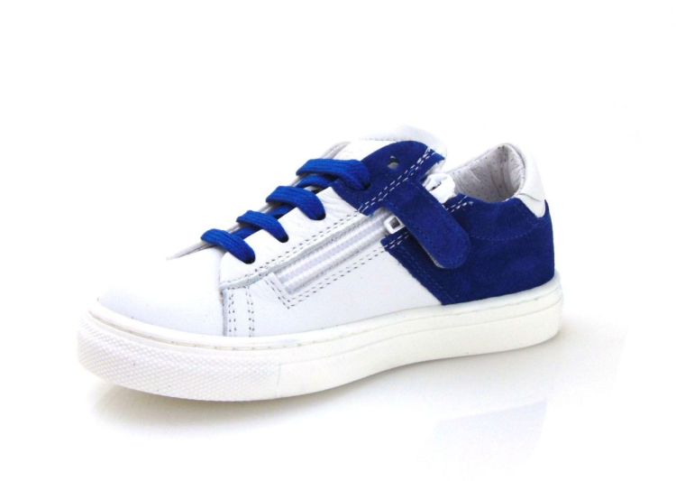 Morelli 481  (8002) - Reynders - Daenen