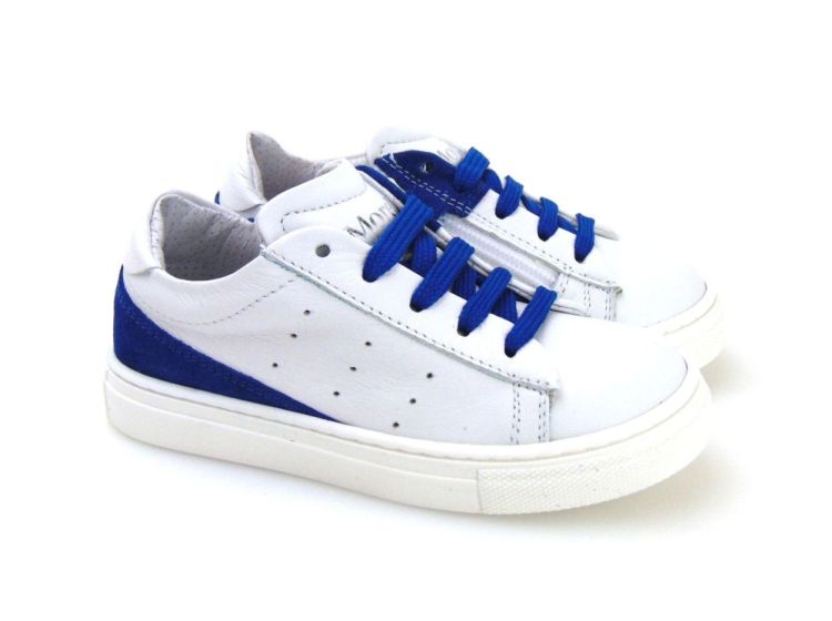 Morelli 481  (8002) - Reynders - Daenen