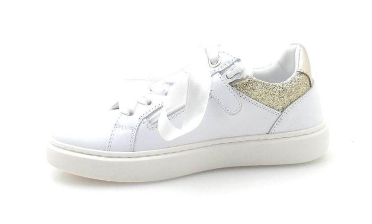 Morelli 53300 (260095) - Reynders - Daenen