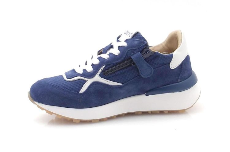 Okyo 854 (260242) - Reynders - Daenen