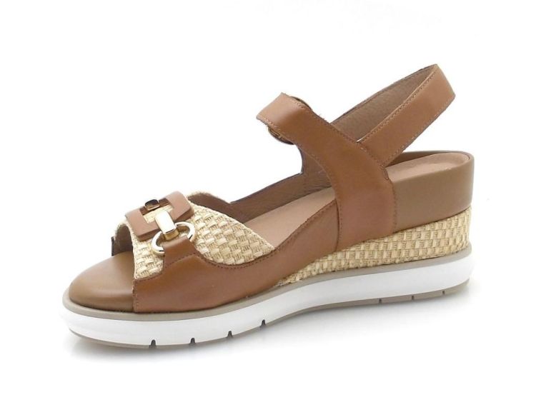 Piesanto 362 (260088) - Reynders - Daenen