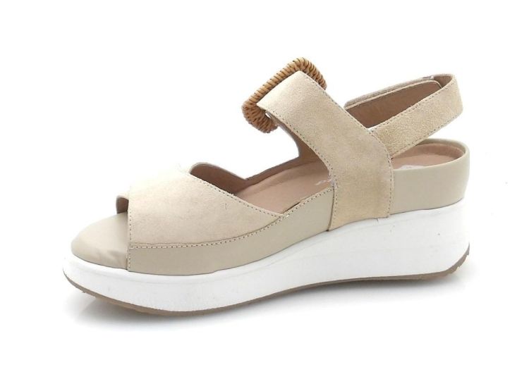 Piesanto 382 (260088) - Reynders - Daenen