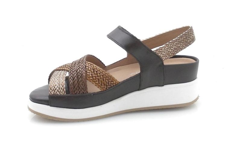 Piesanto 425 (260088) - Reynders - Daenen