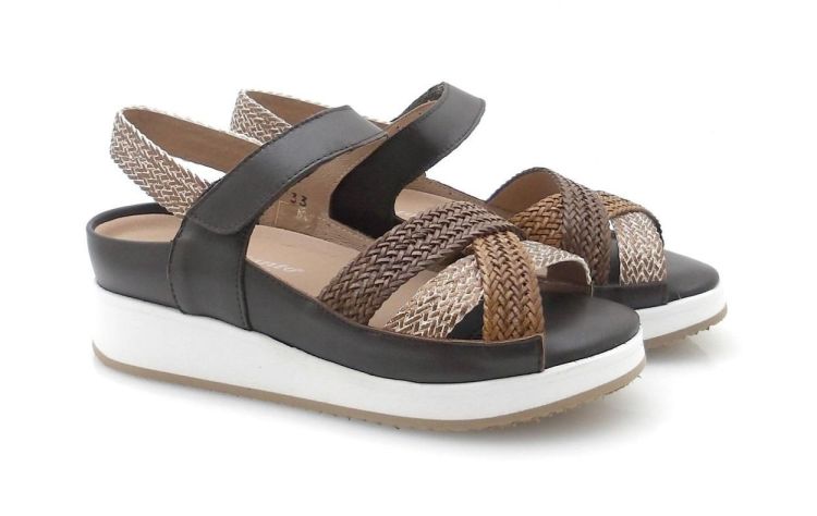 Piesanto 425 (260088) - Reynders - Daenen