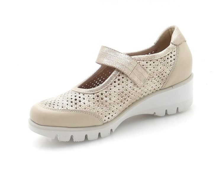 Piesanto 657 (260088) - Reynders - Daenen