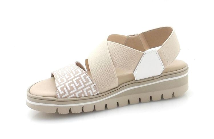 Piesanto 787 (260088) - Reynders - Daenen