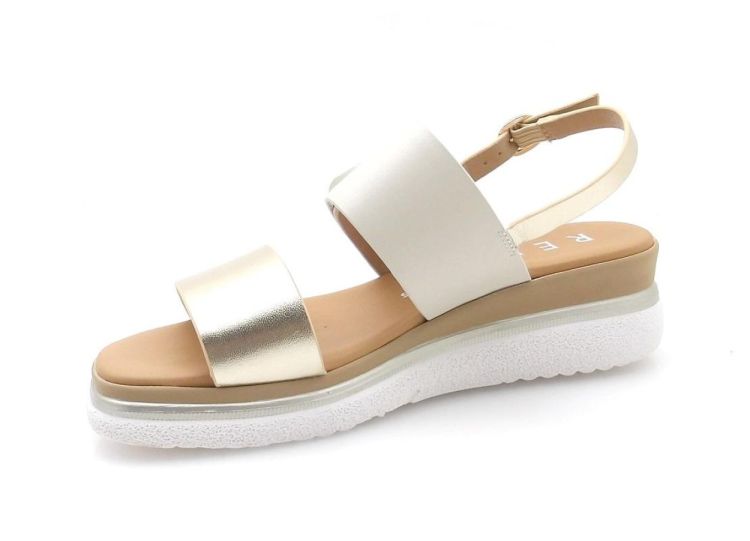 Repo 10255 (260178) - Reynders - Daenen