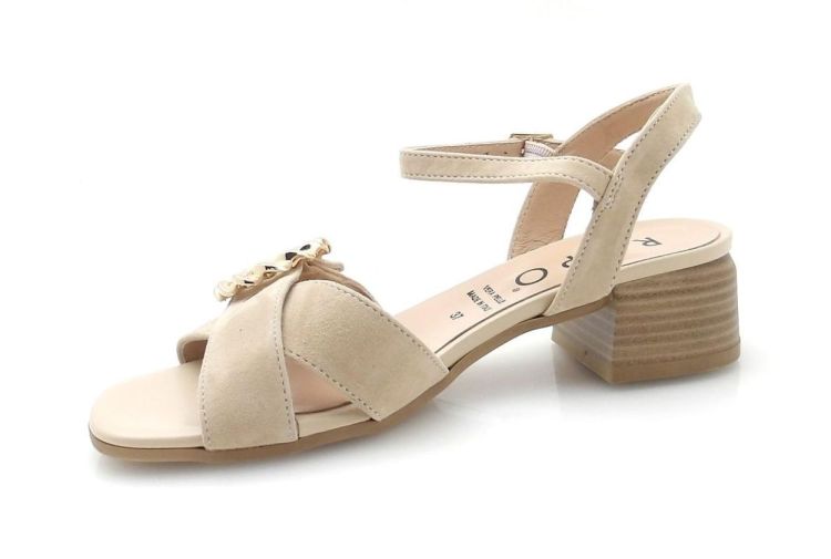 Repo 31229 (260231) - Reynders - Daenen