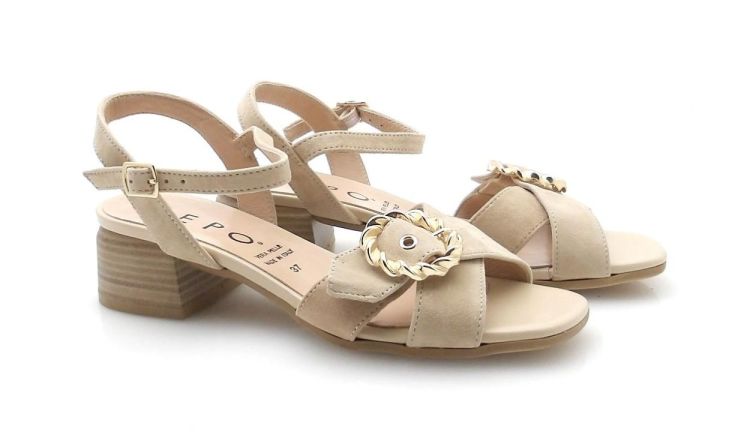 Repo 31229 (260231) - Reynders - Daenen