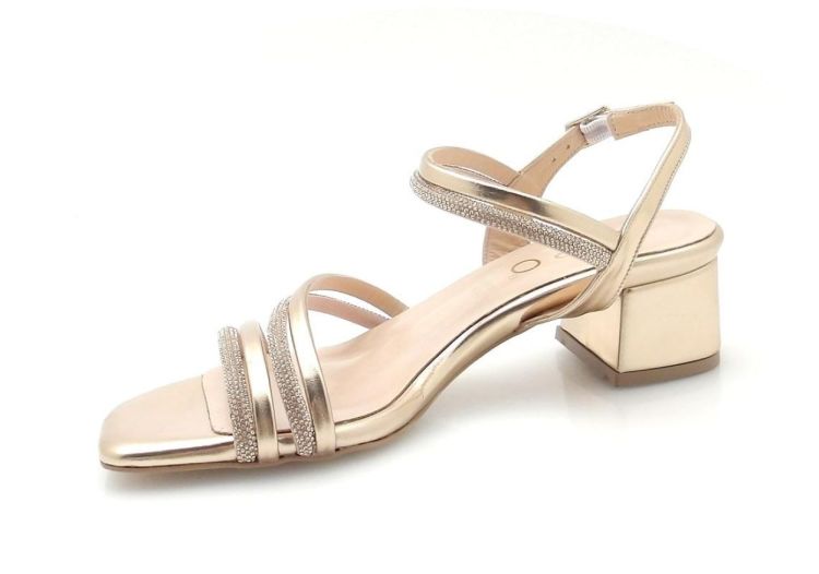 Repo 41605 (260231) - Reynders - Daenen