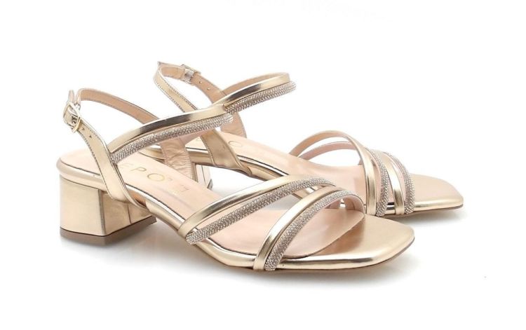 Repo 41605 (260231) - Reynders - Daenen