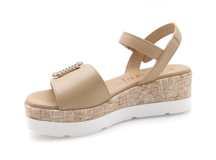 Repo 50237 (260178) - Reynders - Daenen