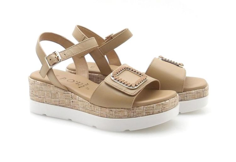 Repo 50237 (260178) - Reynders - Daenen