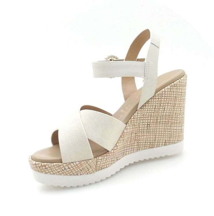 Repo 52244 (260178) - Reynders - Daenen