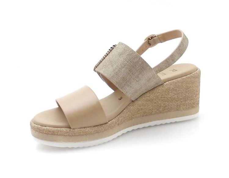 Repo 53289 (260231) - Reynders - Daenen