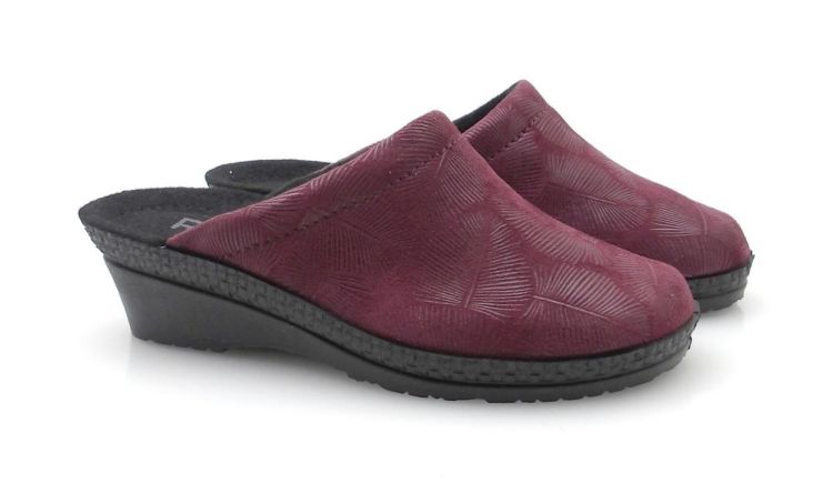 ROHDE 2450 48 (250667) - Reynders - Daenen