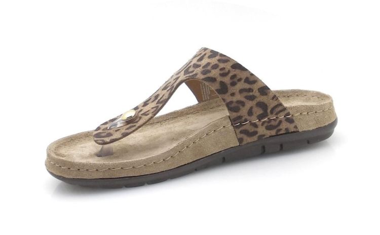 ROHDE 5891 18 (260066) - Reynders - Daenen