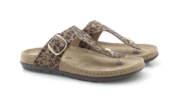 ROHDE 5891 18 (260066) - Reynders - Daenen