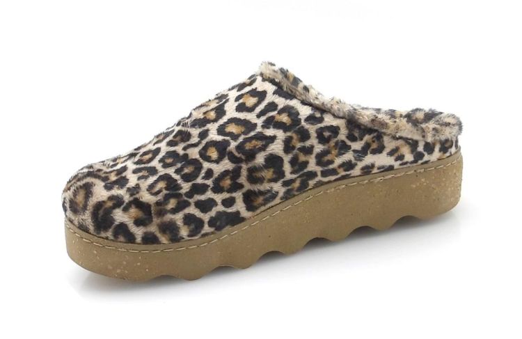 ROHDE 6102 18 (250860) - Reynders - Daenen