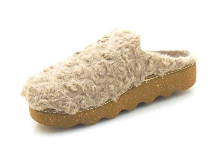 ROHDE 6118 17 (230915-240154-985) - Reynders - Daenen