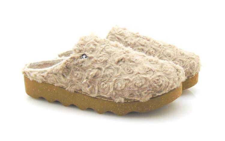 ROHDE 6118 17 (230915-240154-985) - Reynders - Daenen