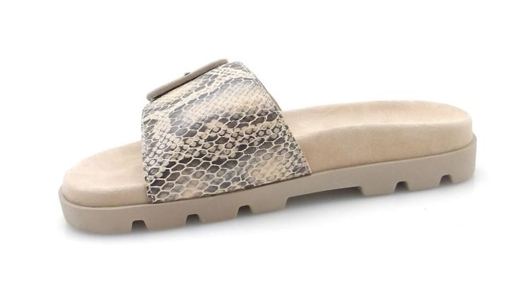 ROHDE 6311 12 (260292) - Reynders - Daenen