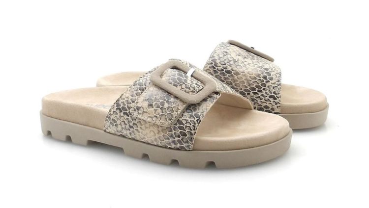 ROHDE 6311 12 (260292) - Reynders - Daenen