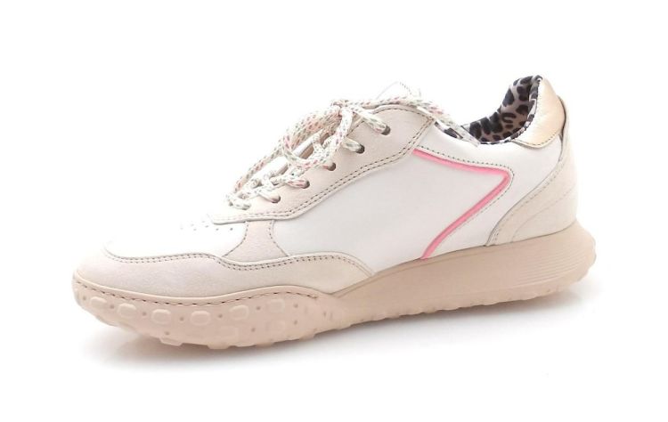 Saika 8967S066 (260184) - Reynders - Daenen