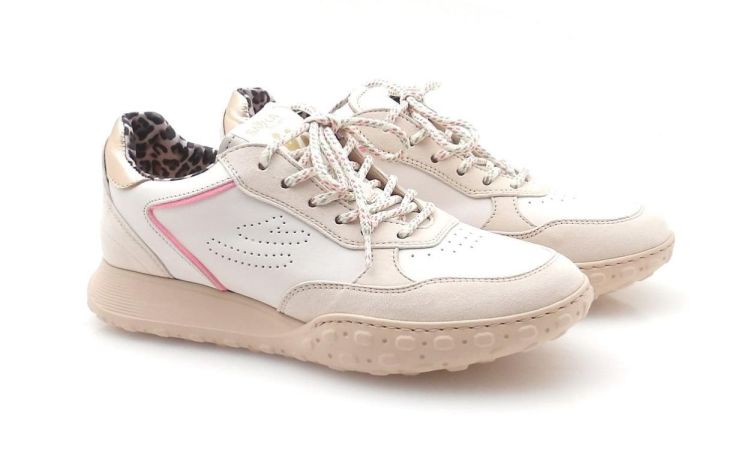 Saika 8967S066 (260184) - Reynders - Daenen