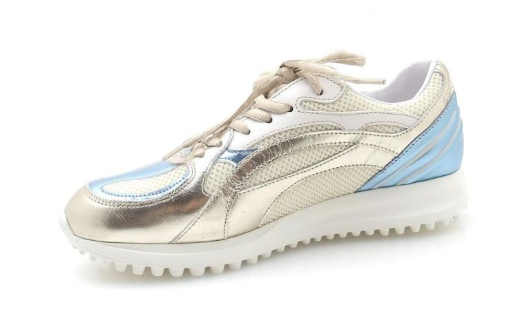 Saika 8969S128 (260161) - Reynders - Daenen