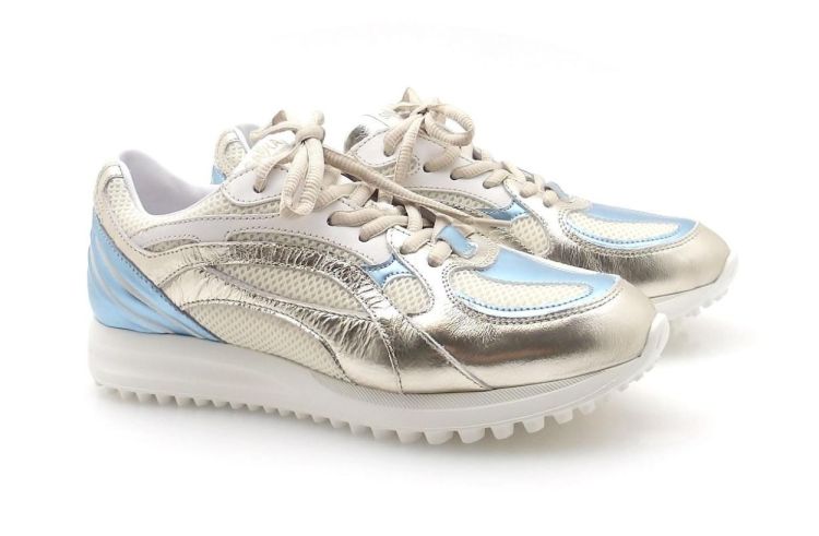 Saika 8969S128 (260161) - Reynders - Daenen