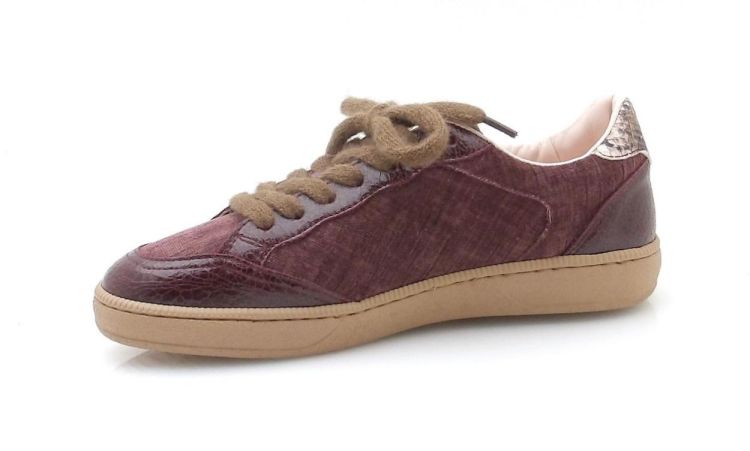 Saika 9905 S097 (260612) - Reynders - Daenen