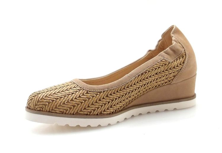 Softwaves 7.67.72 (260290) - Reynders - Daenen