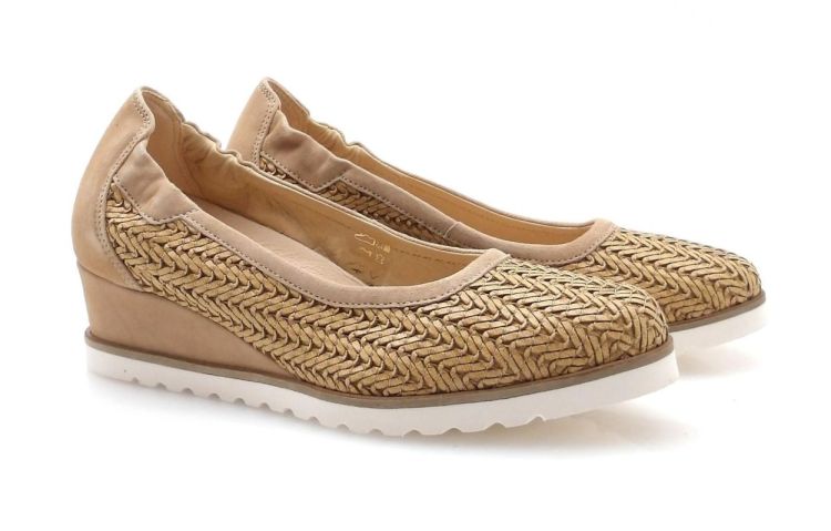 Softwaves 7.67.72 (260290) - Reynders - Daenen