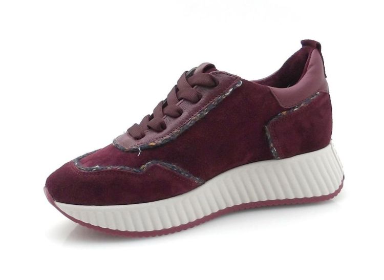 Softwaves 8.95.22 (250799) - Reynders - Daenen