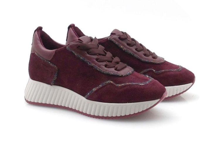 Softwaves 8.95.22 (250799) - Reynders - Daenen