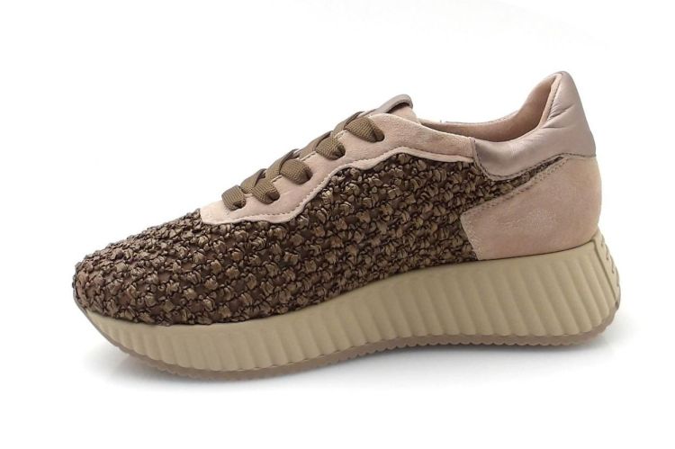 Softwaves 8.95.30 (260119) - Reynders - Daenen