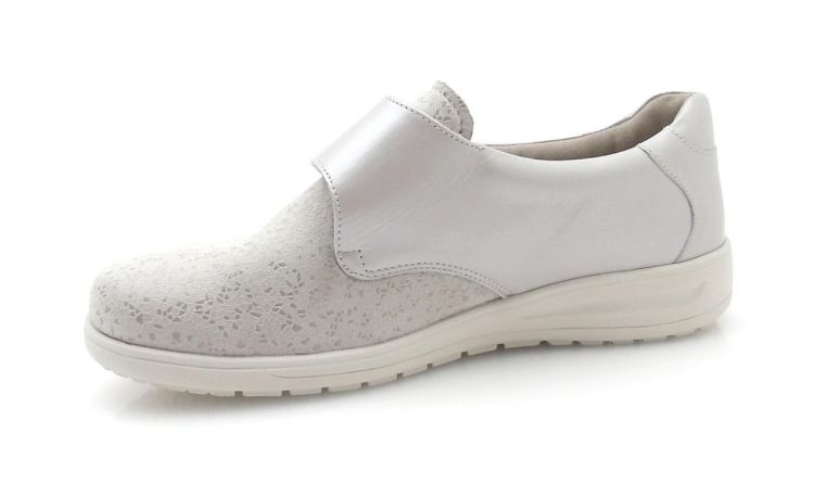 Solidus 29503 Kate K (260323) - Reynders - Daenen