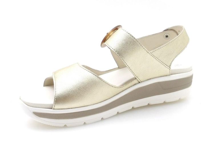 Solidus 48022 Greta G (250432 - 441) - Reynders - Daenen