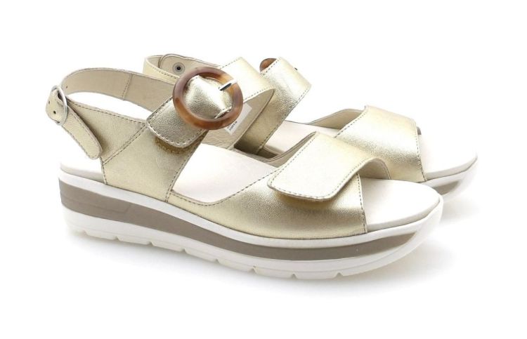 Solidus 48022 Greta G (250432 - 441) - Reynders - Daenen