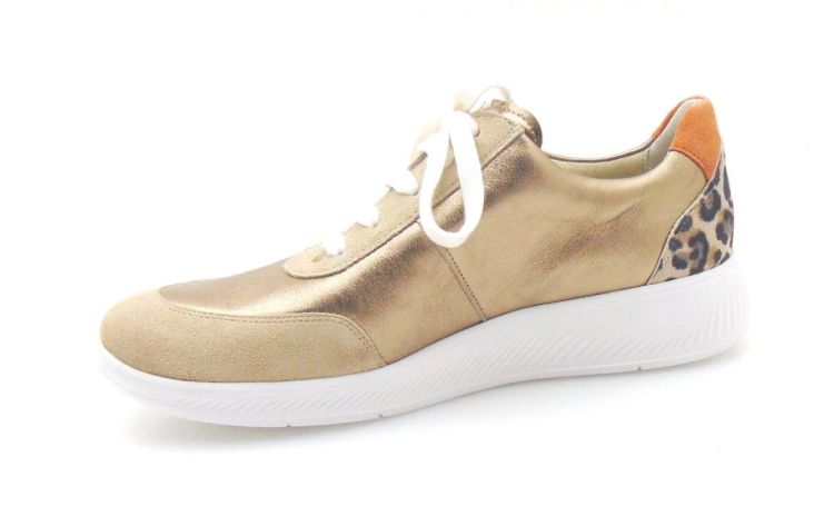 Solidus 56287 Halea H (250275) - Reynders - Daenen