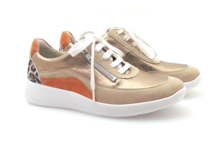 Solidus 56287 Halea H (250275) - Reynders - Daenen