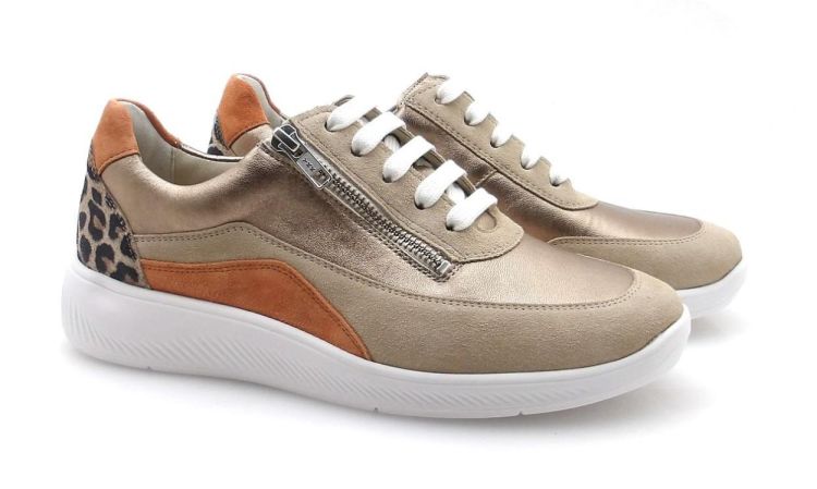 Solidus 65019 Kalea K (260005) - Reynders - Daenen