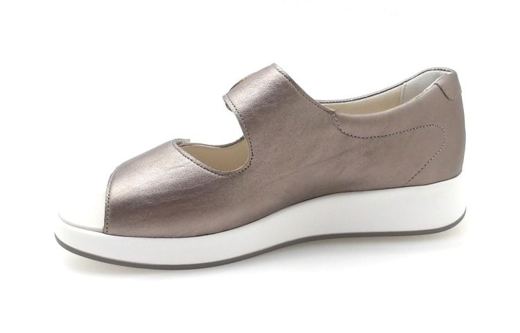 Solidus 75037 Hannah H (260194) - Reynders - Daenen