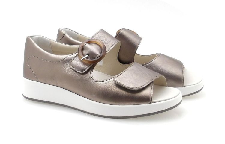 Solidus 75037 Hannah H (260194) - Reynders - Daenen