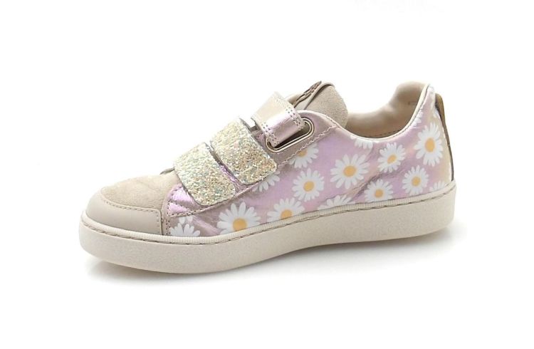 Stones and Bones Eifel (260201) - Reynders - Daenen