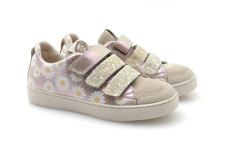 Stones and Bones Eifel (260201) - Reynders - Daenen