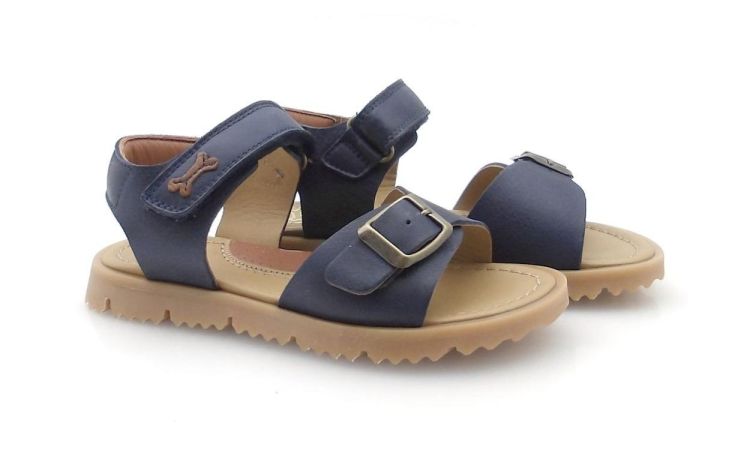 Stones and Bones Lotus (260072) - Reynders - Daenen